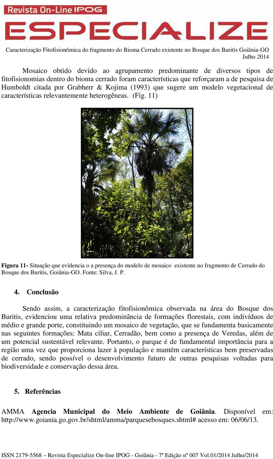 11) Figura 11- Situação que evidencia o a presença do modelo de mosaico existente no fragmento de Cerrado do Bosque dos Buritis, Goiânia-GO. Fonte: Silva, J. P. 4.