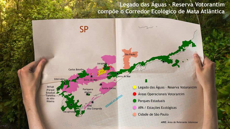 Pariquera Abaixo Juréia Itatins Legado das Águas Reserva Votorantim Áreas Operacionais Votorantim Parques