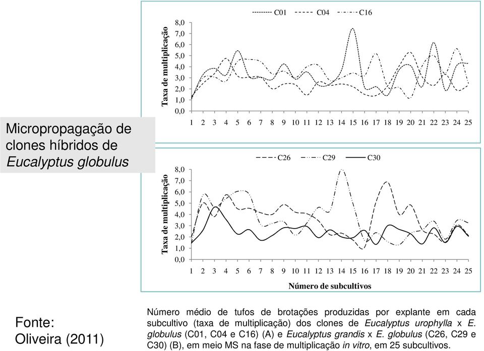 Número de subcultivos Fonte: Oliveira (2011) Número médio de tufos de brotações produzidas por explante em cada subcultivo (taxa de multiplicação) dos clones de