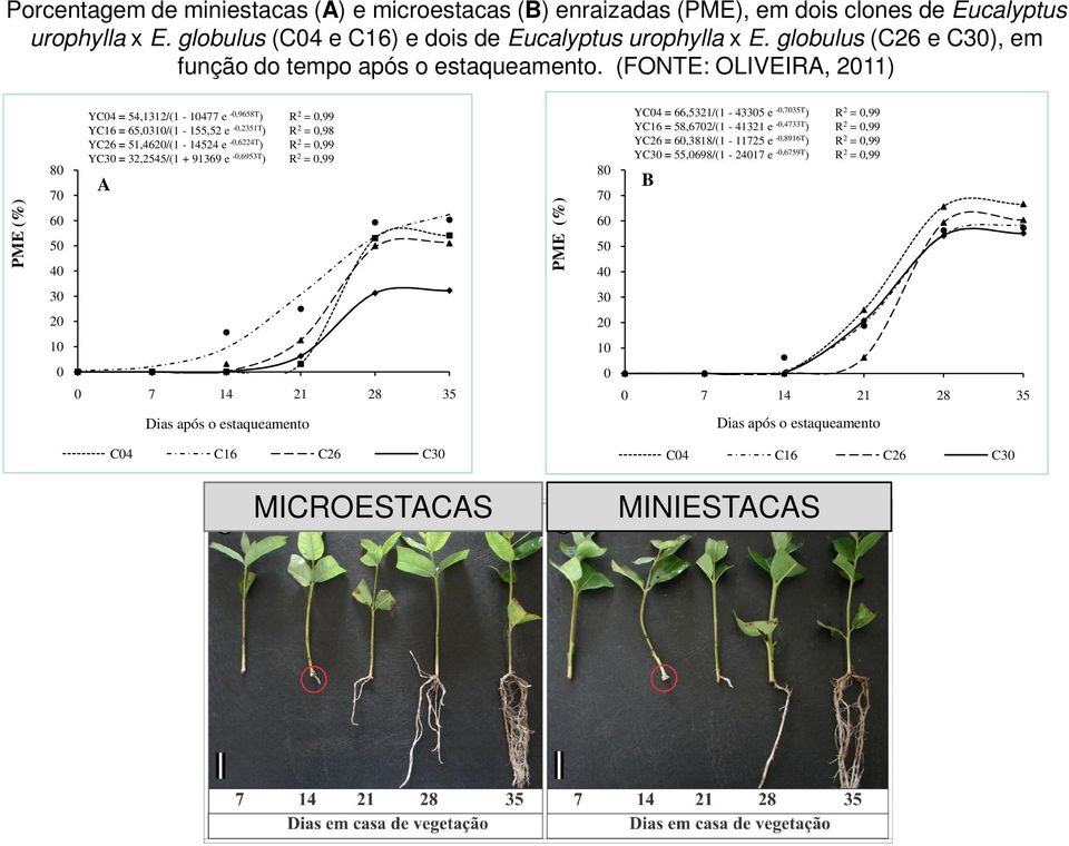 (FONTE: OLIVEIRA, 2011) PME (%) 80 70 60 50 40 YC04 = 54,1312/(1-10477 e -0,9658T ) R 2 = 0,99 YC16 = 65,0310/(1-155,52 e -0,2351T ) R 2 = 0,98 YC26 = 51,4620/(1-14524 e -0,6224T ) R 2 = 0,99 YC30 =