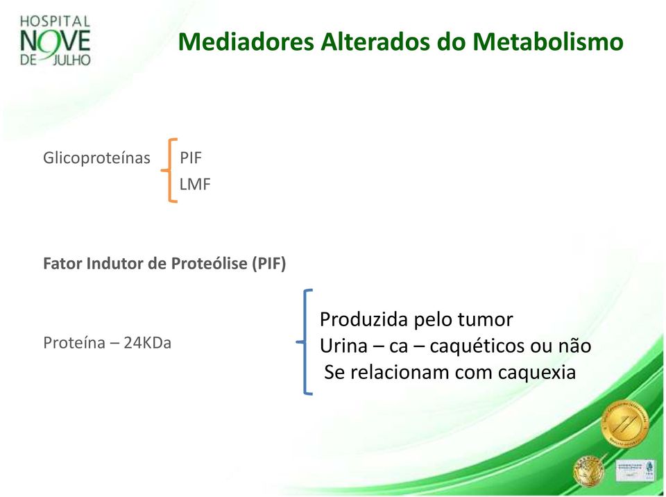 Proteólise (PIF) Proteína 24KDa Produzida