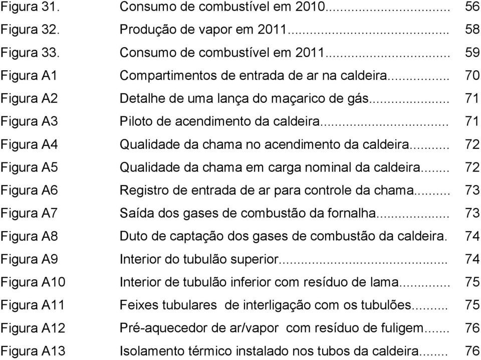 .. 72 Figura A5 Qualidade da chama em carga nominal da caldeira... 72 Figura A6 Registro de entrada de ar para controle da chama... 73 Figura A7 Saída dos gases de combustão da fornalha.