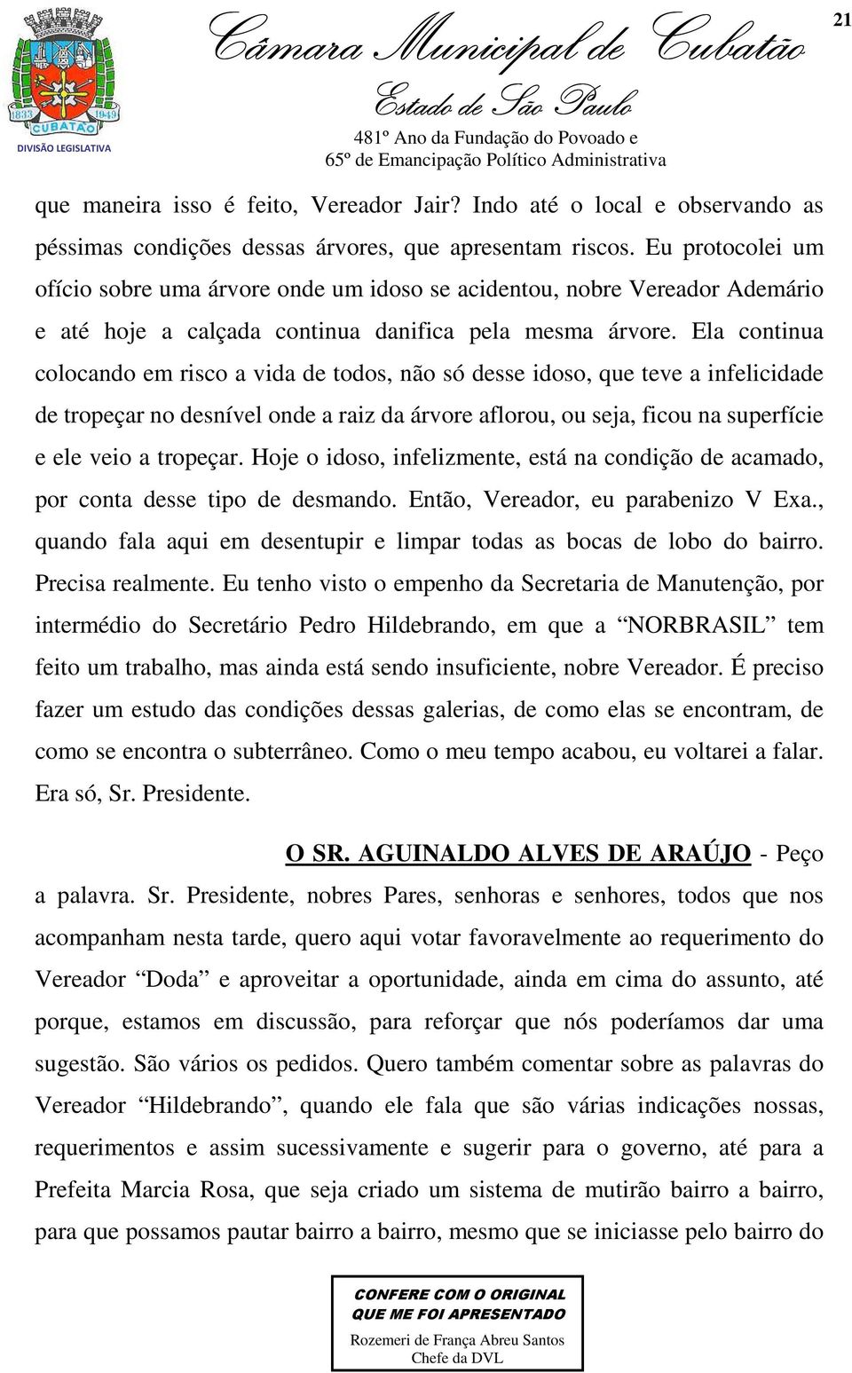 Ela continua colocando em risco a vida de todos, não só desse idoso, que teve a infelicidade de tropeçar no desnível onde a raiz da árvore aflorou, ou seja, ficou na superfície e ele veio a tropeçar.