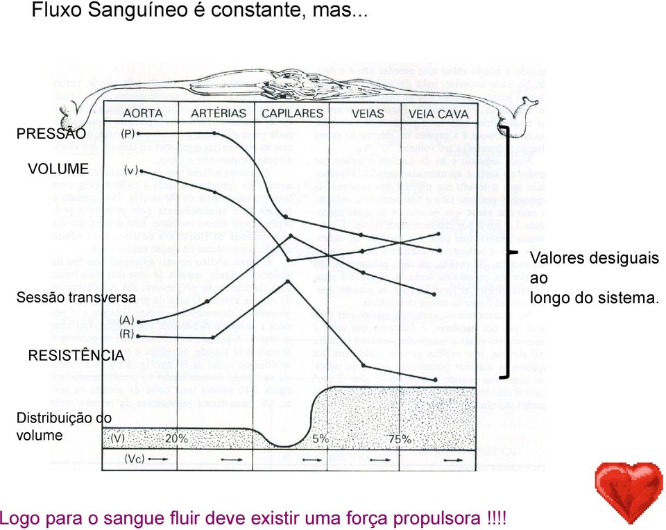 desiguais ao longo do sistema.