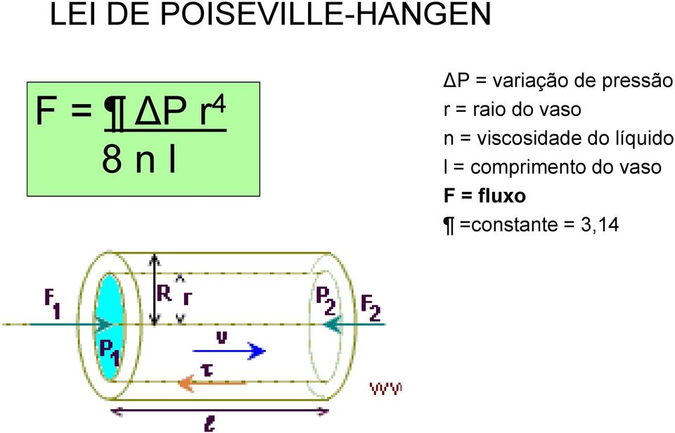 vaso n = viscosidade do líquido l =