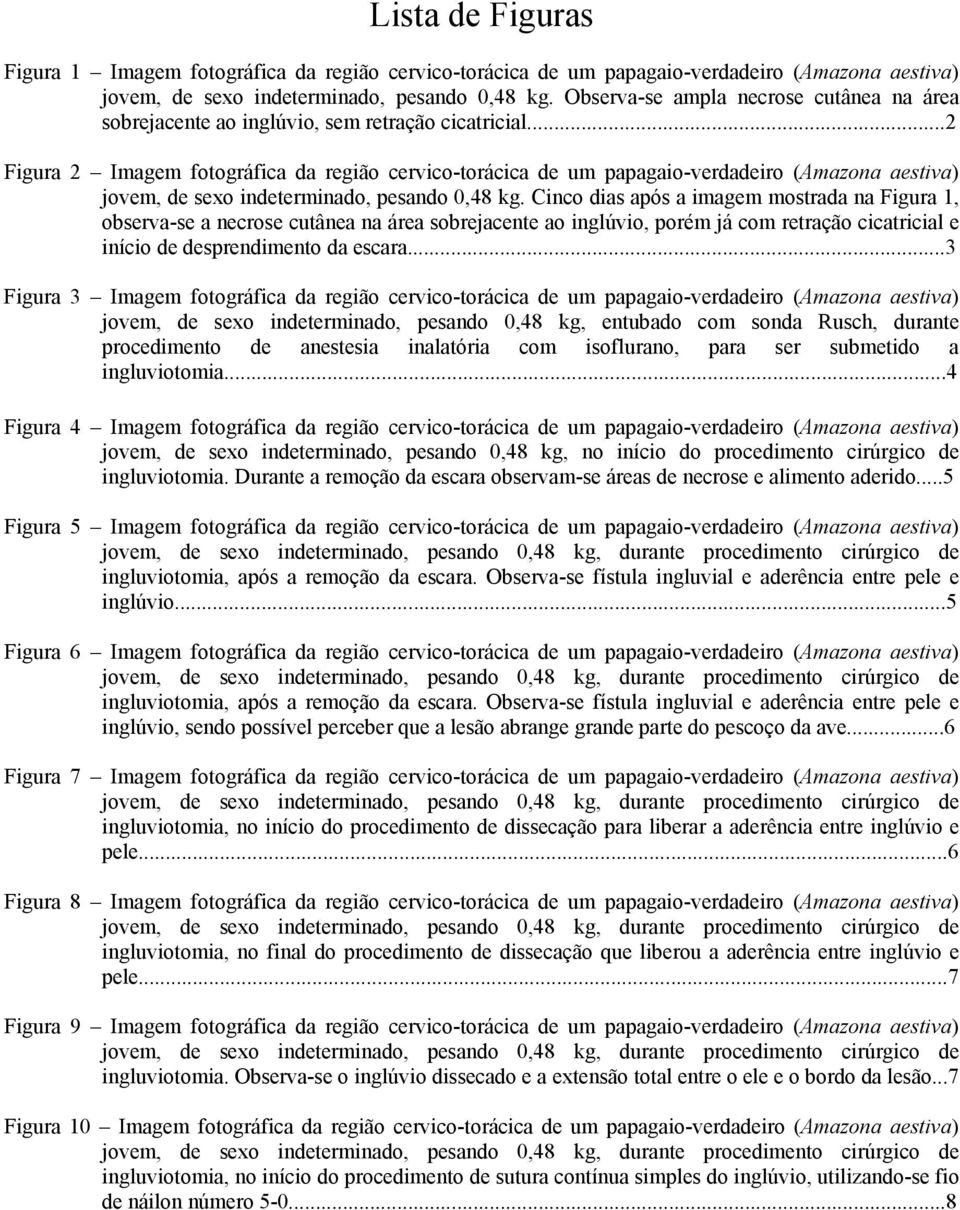 ..2 Figura 2 Imagem fotográfica da região cervico-torácica de um papagaio-verdadeiro (Amazona aestiva) jovem, de sexo indeterminado, pesando 0,48 kg.