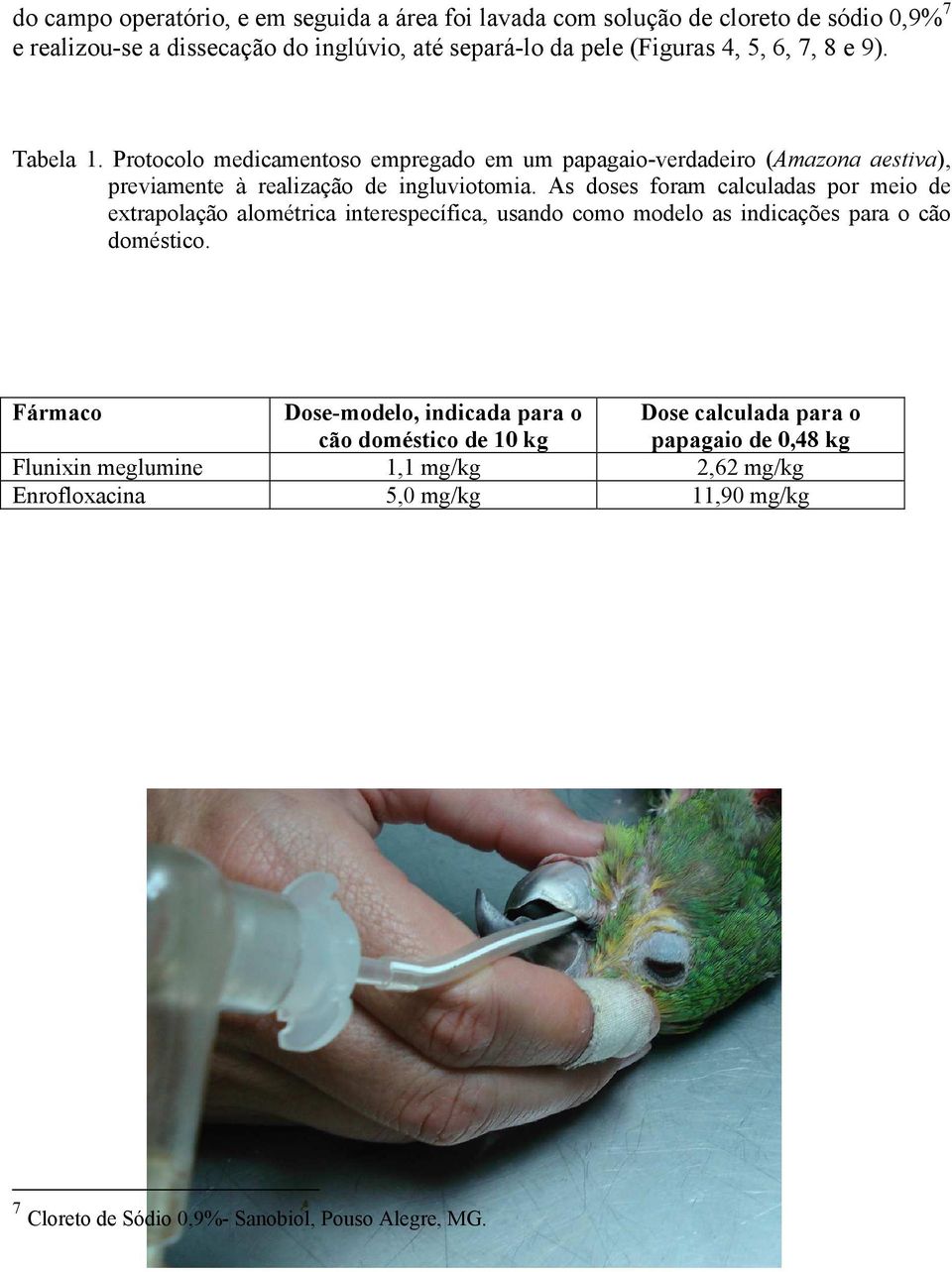 As doses foram calculadas por meio de extrapolação alométrica interespecífica, usando como modelo as indicações para o cão doméstico.