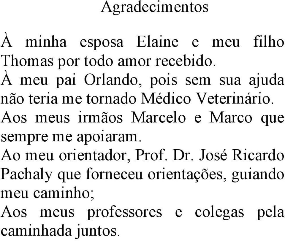 Aos meus irmãos Marcelo e Marco que sempre me apoiaram. Ao meu orientador, Prof. Dr.