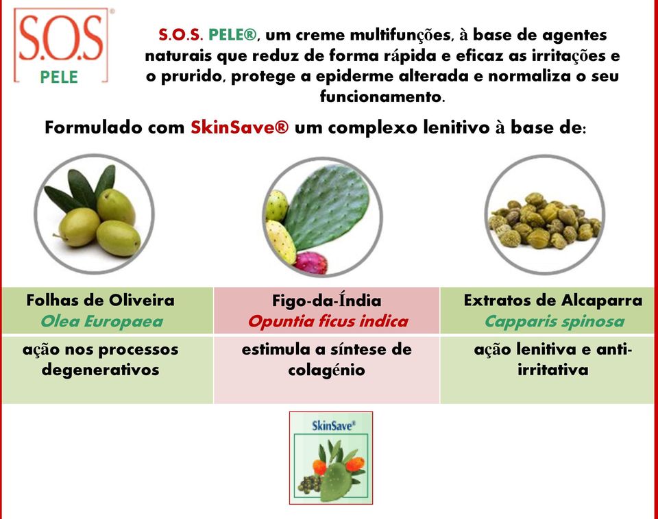 Formulado com SkinSave um complexo lenitivo à base de: Folhas de Oliveira Olea Europaea ação nos processos