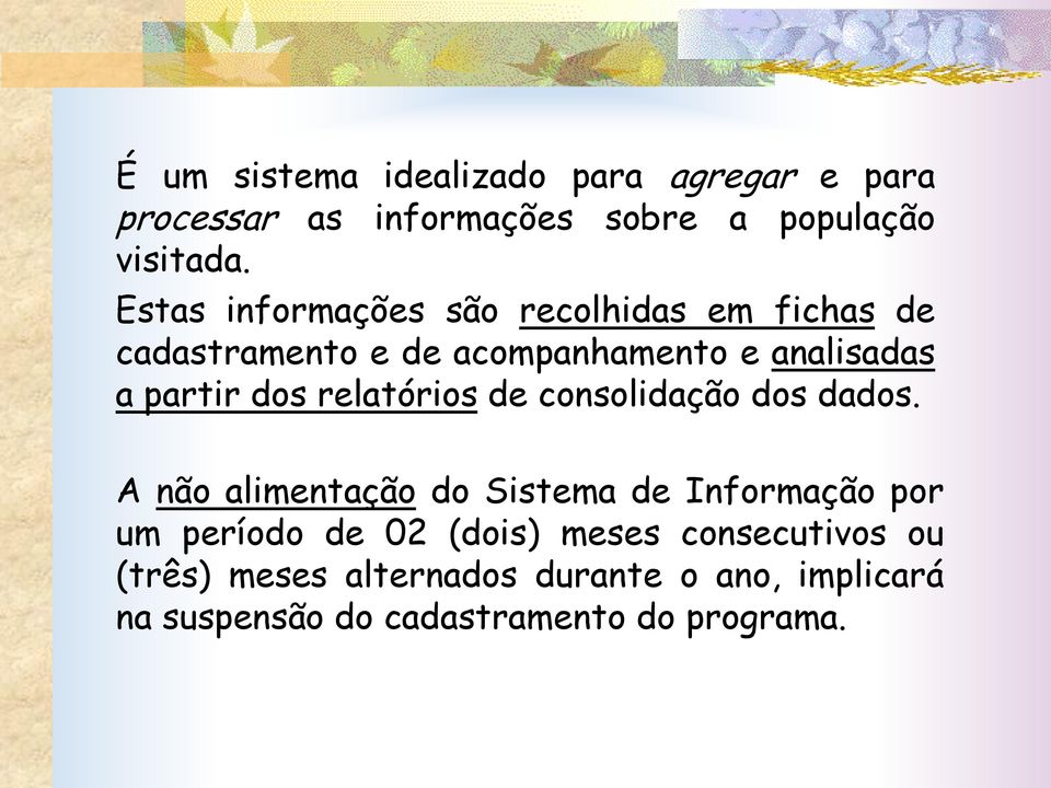 relatórios de consolidação dos dados.