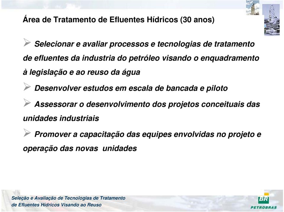 Desenvolver estudos em escala de bancada e piloto Assessorar o desenvolvimento dos projetos conceituais