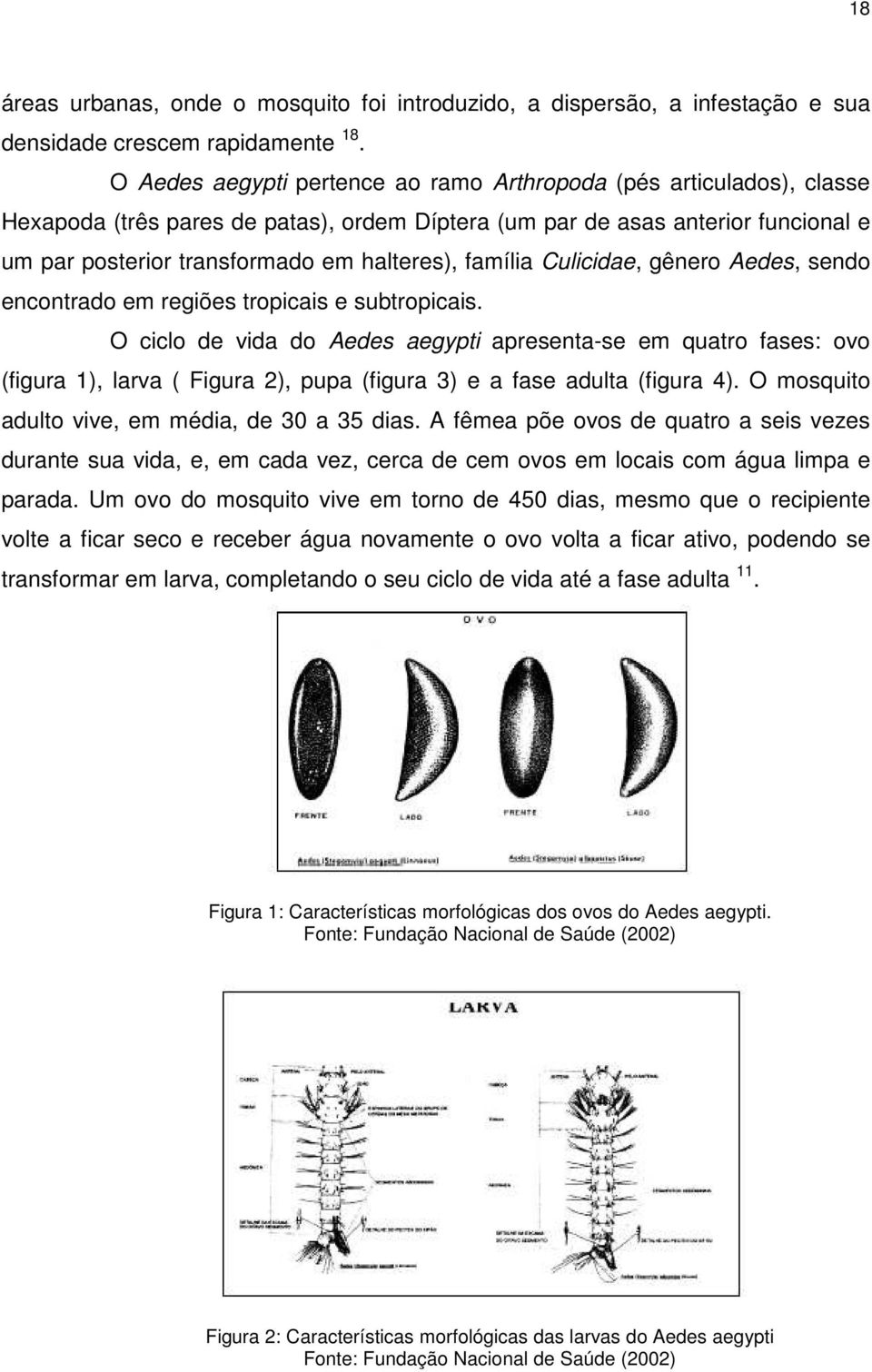 família Culicidae, gênero Aedes, sendo encontrado em regiões tropicais e subtropicais.