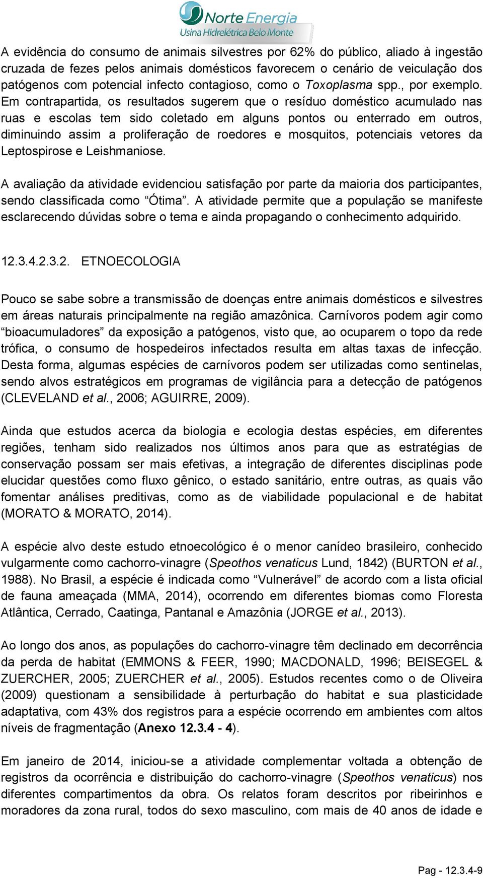 Em contrapartida, os resultados sugerem que o resíduo doméstico acumulado nas ruas e escolas tem sido coletado em alguns pontos ou enterrado em outros, diminuindo assim a proliferação de roedores e