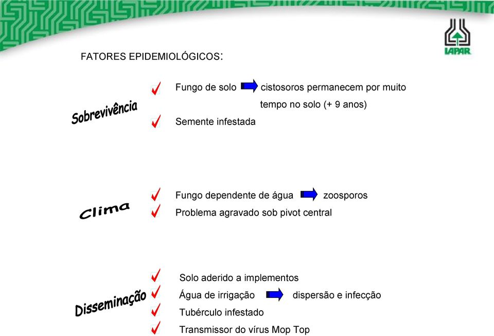 zoosporos Problema agravado sob pivot central Solo aderido a implementos