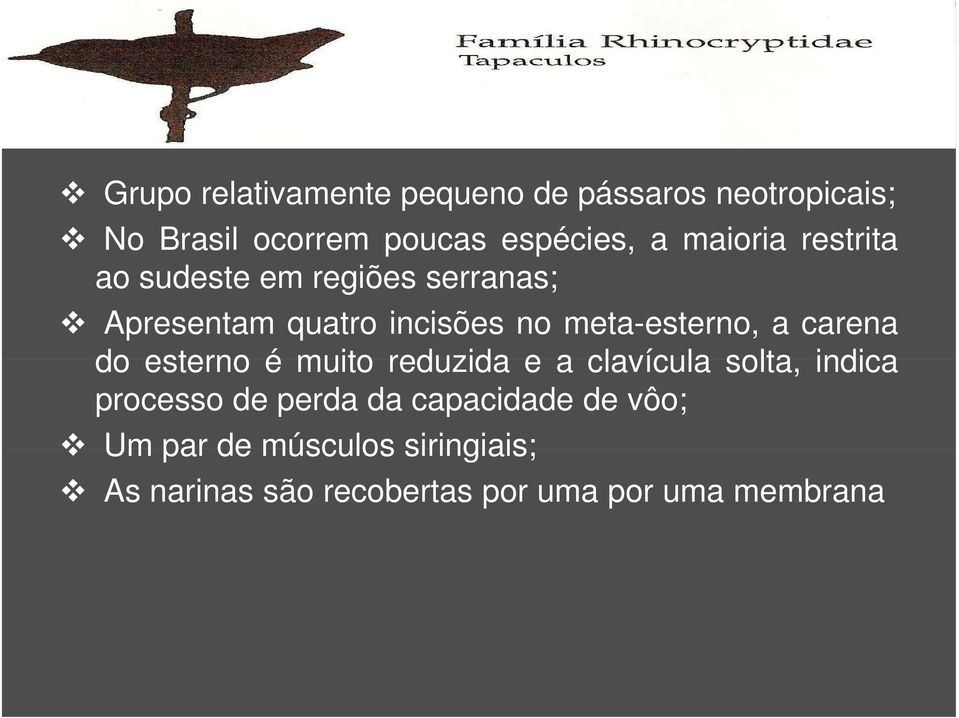 a carena do esterno é muito reduzida e a clavícula solta, indica processo de perda da