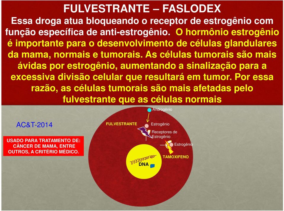 As células tumorais são mais ávidas por estrogênio, aumentando a sinalização para a excessiva divisão celular que resultará em tumor.