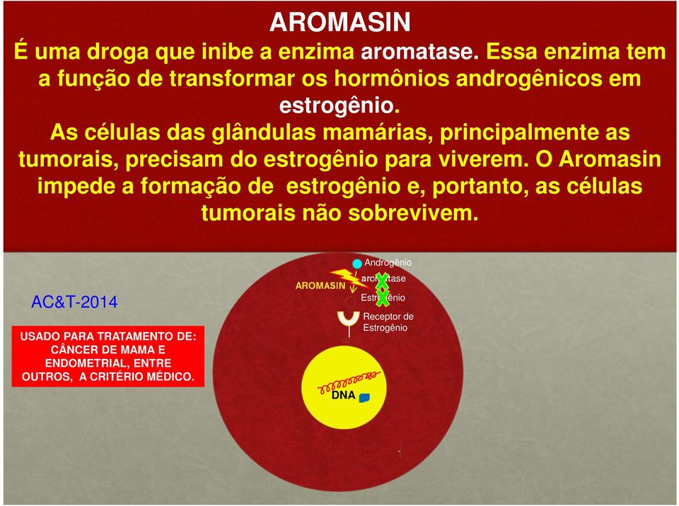 As células das glândulas mamárias, principalmente as tumorais, precisam do estrogênio para viverem.