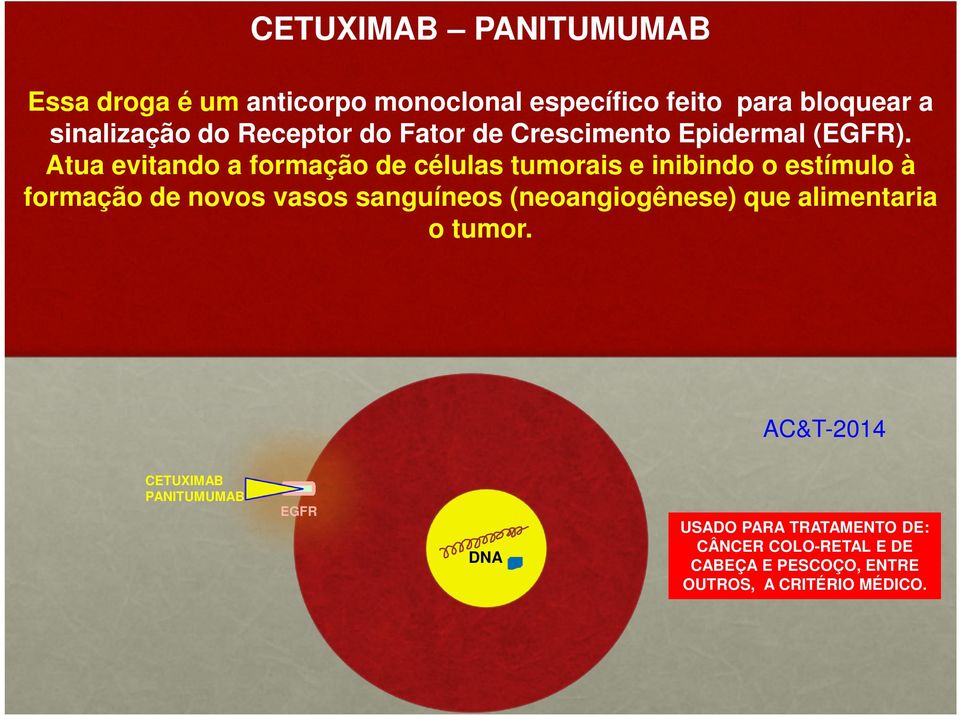 Atua evitando a formação de células tumorais e inibindo o estímulo à formação de novos vasos