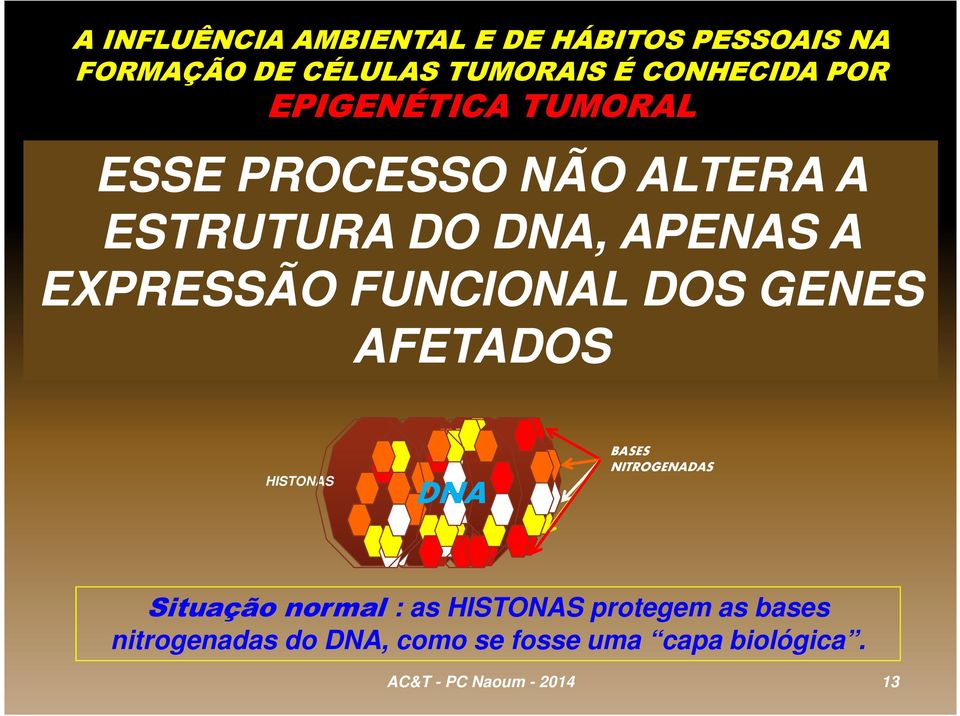 INTERFERENTES CAPAZES DE ALTERAREM OS SEUS MECANISMOS DE CONTROLES DE PLURIPONTENCIALIDADES E REPROGRAMAÇÕES DAS CÉLULAS, AFETADOS PODENDO INDUZI-LAS A SE TORNAREM TUMORAIS.