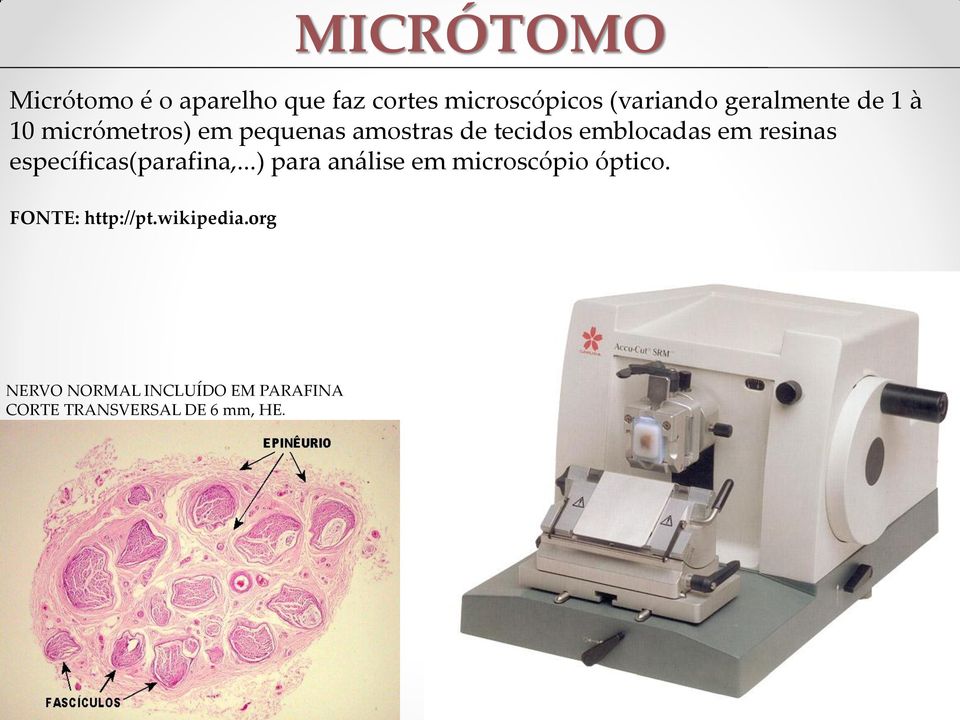 resinas específicas(parafina,...) para análise em microscópio óptico.