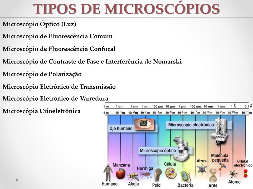 e Interferência de Nomarski Microscópio de Polarização Microscópio