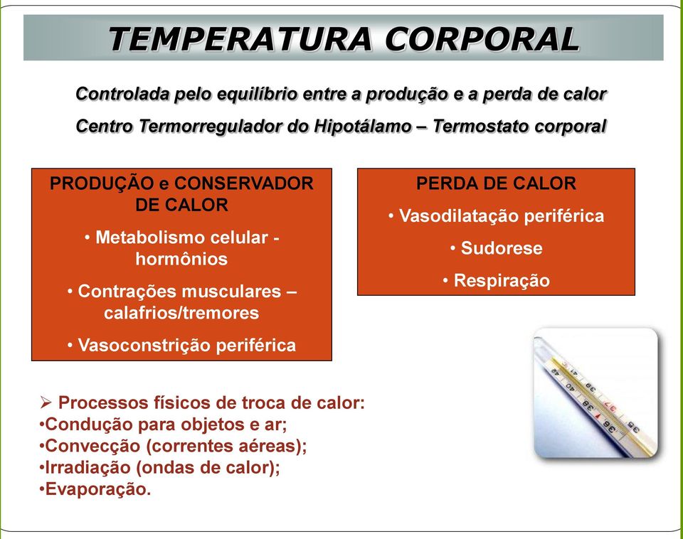 calafrios/tremores Vasoconstrição periférica PERDA DE CALOR Vasodilatação periférica Sudorese Respiração Processos