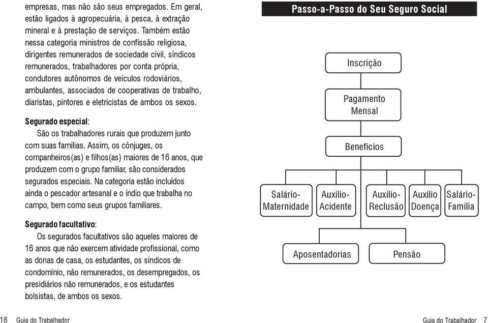 rodoviários, ambulantes, associados de cooperativas de trabalho, diaristas, pintores e eletricistas de ambos os sexos.