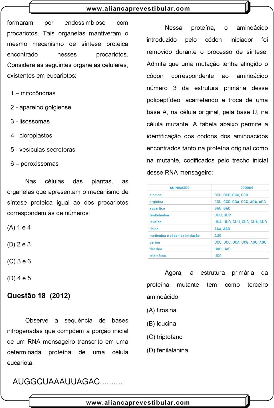 plantas, as organelas que apresentam o mecanismo de síntese proteica igual ao dos procariotos correspondem às de números: Nessa proteína, o aminoácido introduzido pelo códon iniciador foi removido