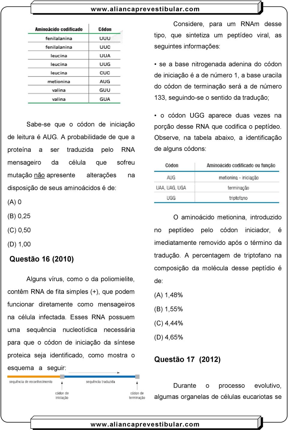 A probabilidade de que a proteína a ser traduzida pelo RNA o códon UGG aparece duas vezes na porção desse RNA que codifica o peptídeo.