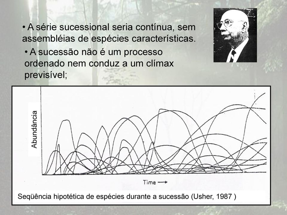 A sucessão não é um processo ordenado nem conduz a um