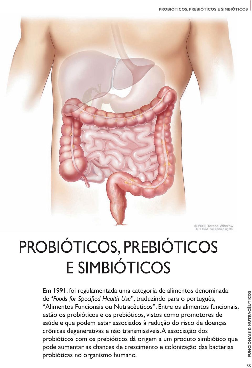 Entre os alimentos funcionais, estão os probióticos e os prebióticos, vistos como promotores de saúde e que podem estar associados à redução do risco