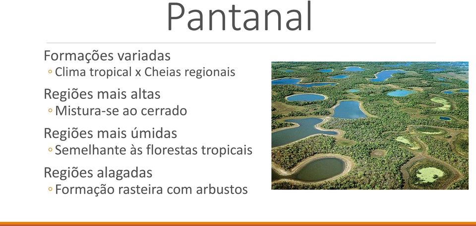 Pantanal Regiões mais úmidas Semelhante às