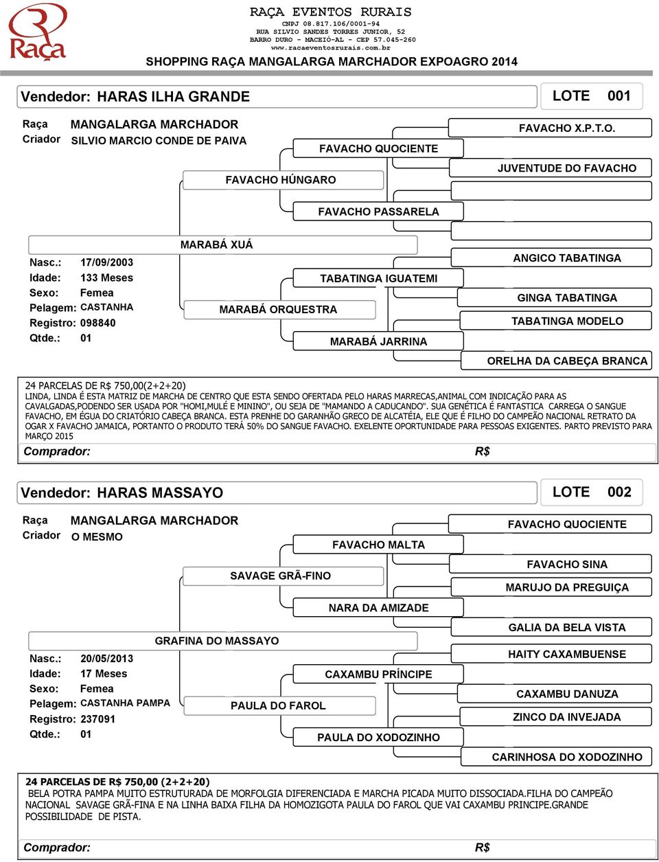 BRANCA 24 PARCELAS DE R$ 750,00(2+2+20) LINDA, LINDA É ESTA MATRIZ DE MARCHA DE CENTRO QUE ESTA SENDO OFERTADA PELO HARAS MARRECAS,ANIMAL COM INDICAÇÃO PARA AS CAVALGADAS,PODENDO SER USADA POR