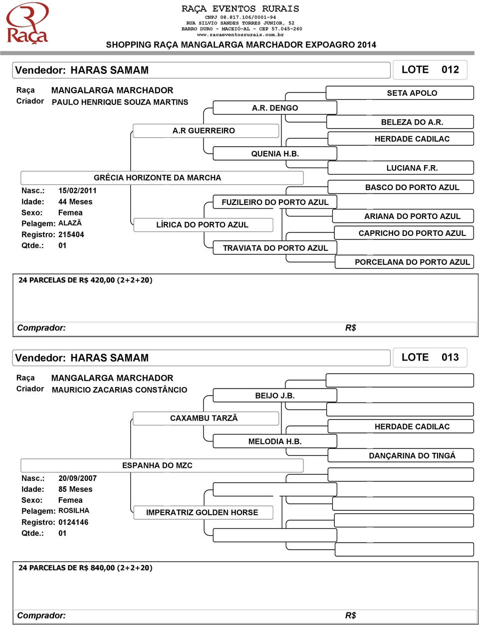 R. BASCO DO PORTO AZUL ARIANA DO PORTO AZUL CAPRICHO DO PORTO AZUL PORCELANA DO PORTO AZUL 24 PARCELAS DE R$ 420,00 (2+2+20) Vendedor: HARAS SAMAM LOTE 013 Criador MAURICIO ZACARIAS