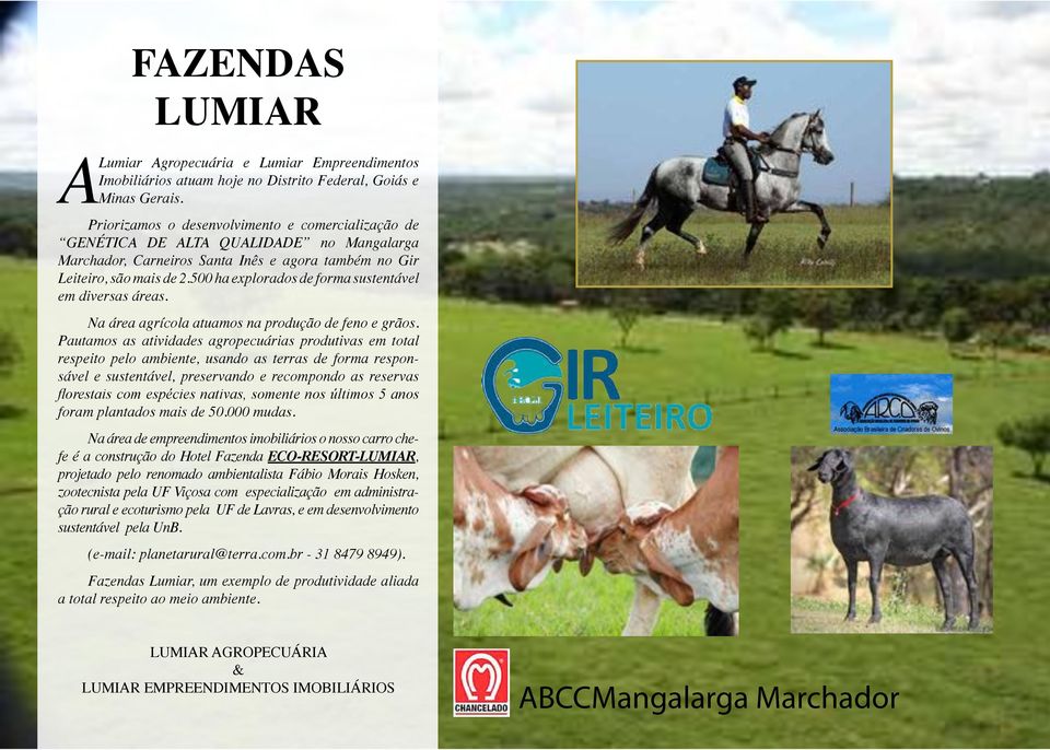 500 ha explorados de forma sustentável em diversas áreas. Na área agrícola atuamos na produção de feno e grãos.