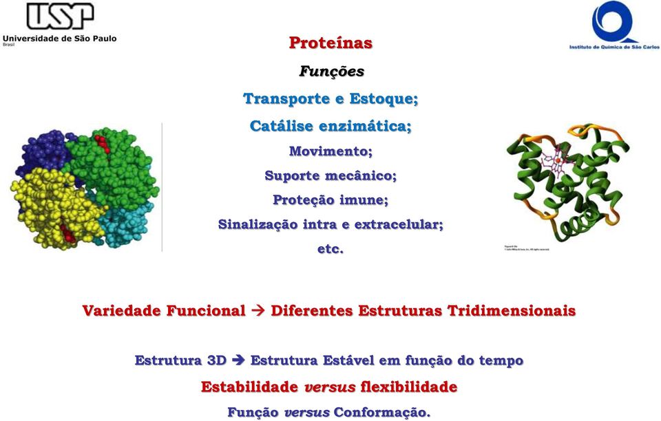 Variedade Funcional Diferentes Estruturas Tridimensionais Estrutura 3D