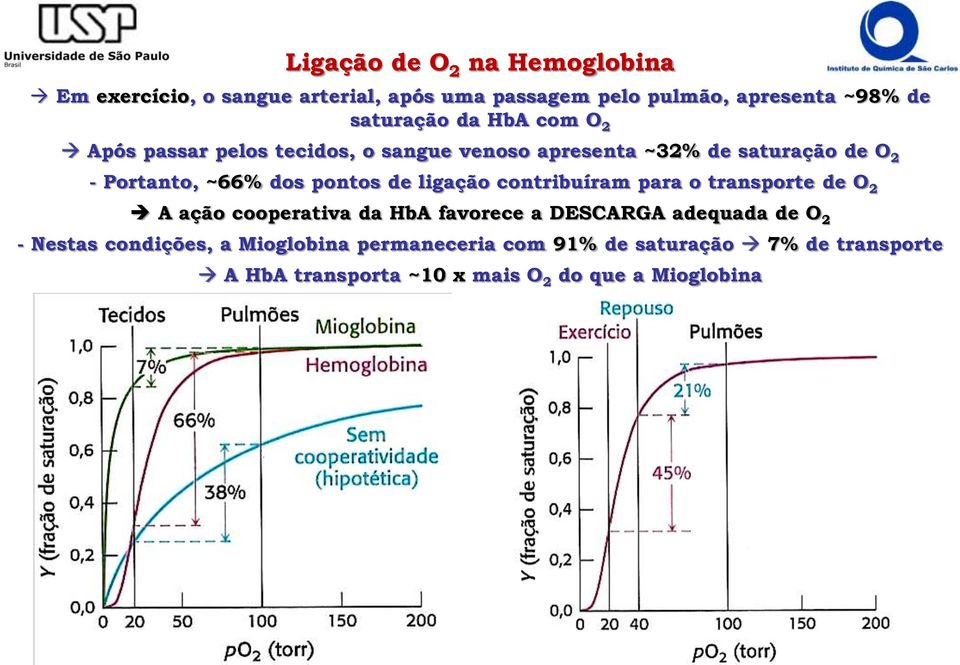 de ligação contribuíram para o transporte de O 2 A ação cooperativa da HbA favorece a DESCARGA adequada de O 2 - Nestas