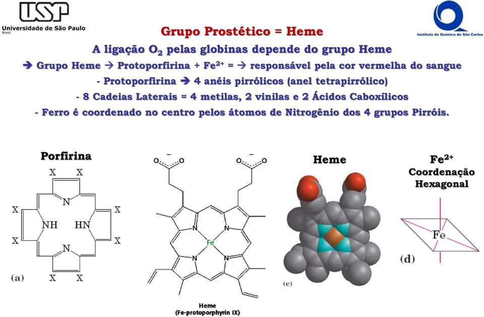 pirrólicos (anel tetrapirrólico) - 8 Cadeias Laterais = 4 metilas, 2 vinilas e 2 Ácidos Caboxílicos