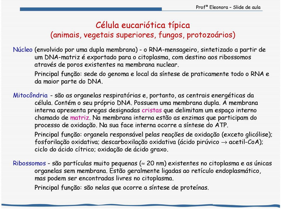 Mitocôndria - são as organelas respiratórias e, portanto, as centrais energéticas da célula. ontém o seu próprio DA. Possuem uma membrana dupla.