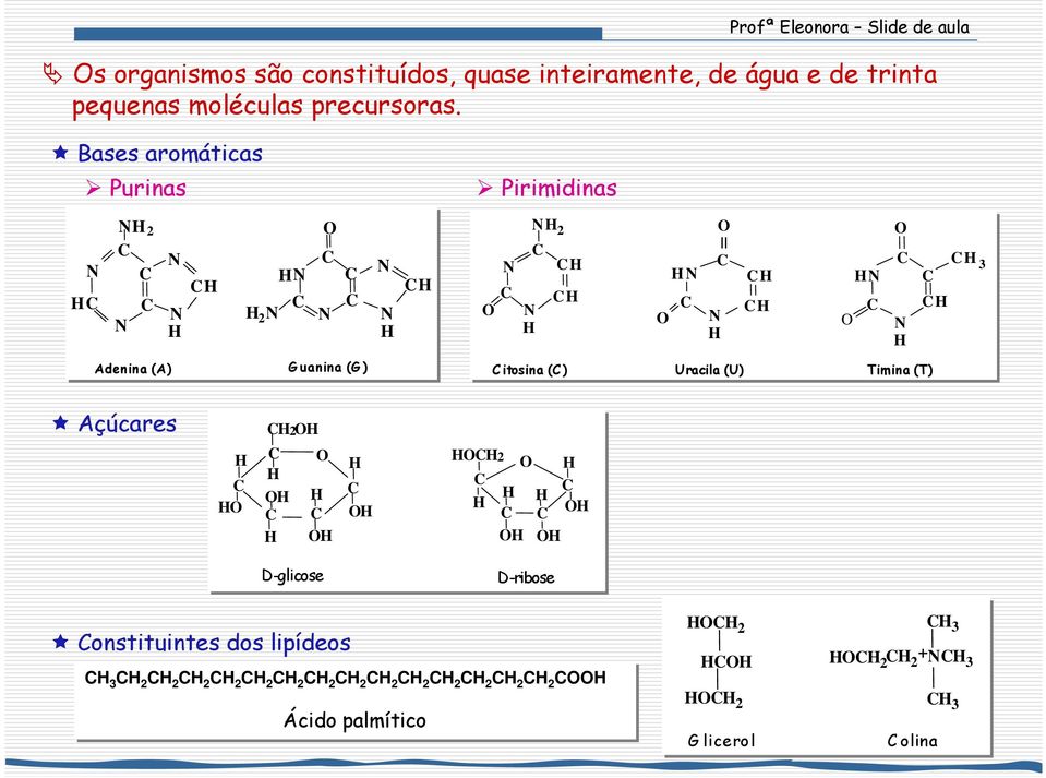 Bases aromáticas Purinas Pirimidinas 2 2 O O 2 O O O O 3 Adenina (A) Guanina (G ) itosina ()