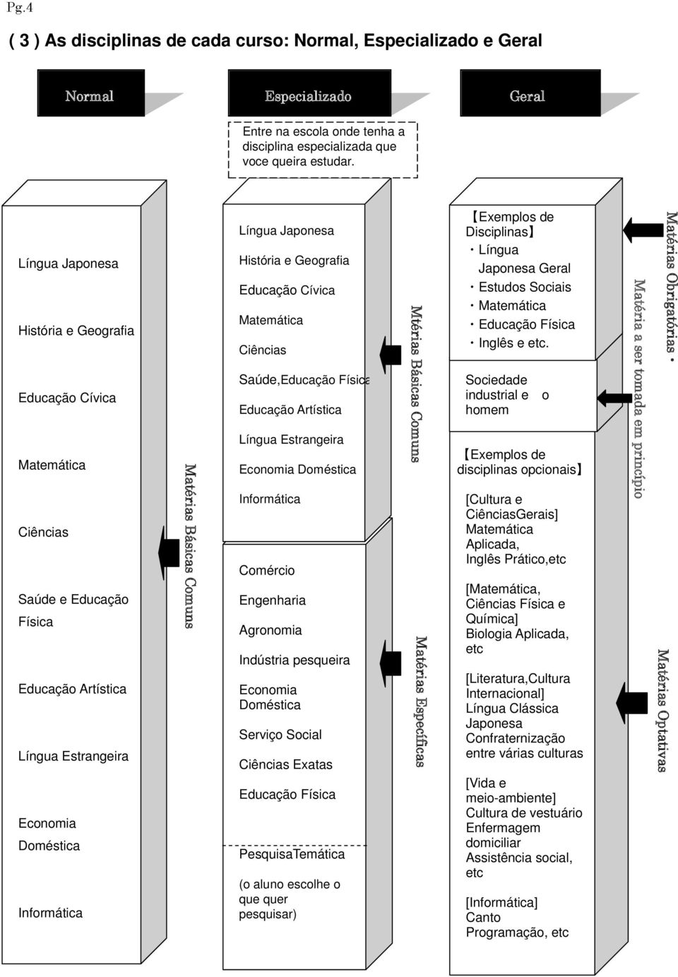 Japonesa História e Geografia Educação Cívica Matemática Ciências Saúde,Educação Física Educação Artística Língua Estrangeira Economia Doméstica Informática Comércio Engenharia Agronomia Indústria