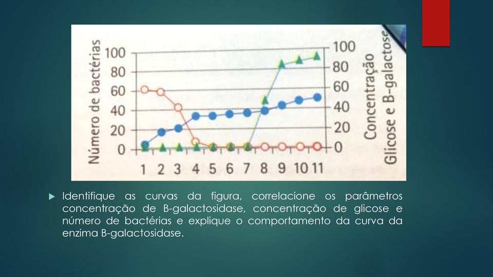 concentração de glicose e número de bactérias e