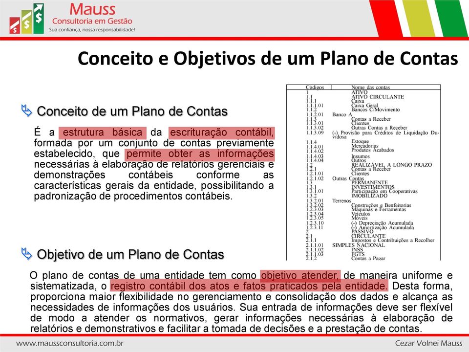 Objetivo de um Plano de Contas O plano de contas de uma entidade tem como objetivo atender, de maneira uniforme e sistematizada, o registro contábil dos atos e fatos praticados pela entidade.