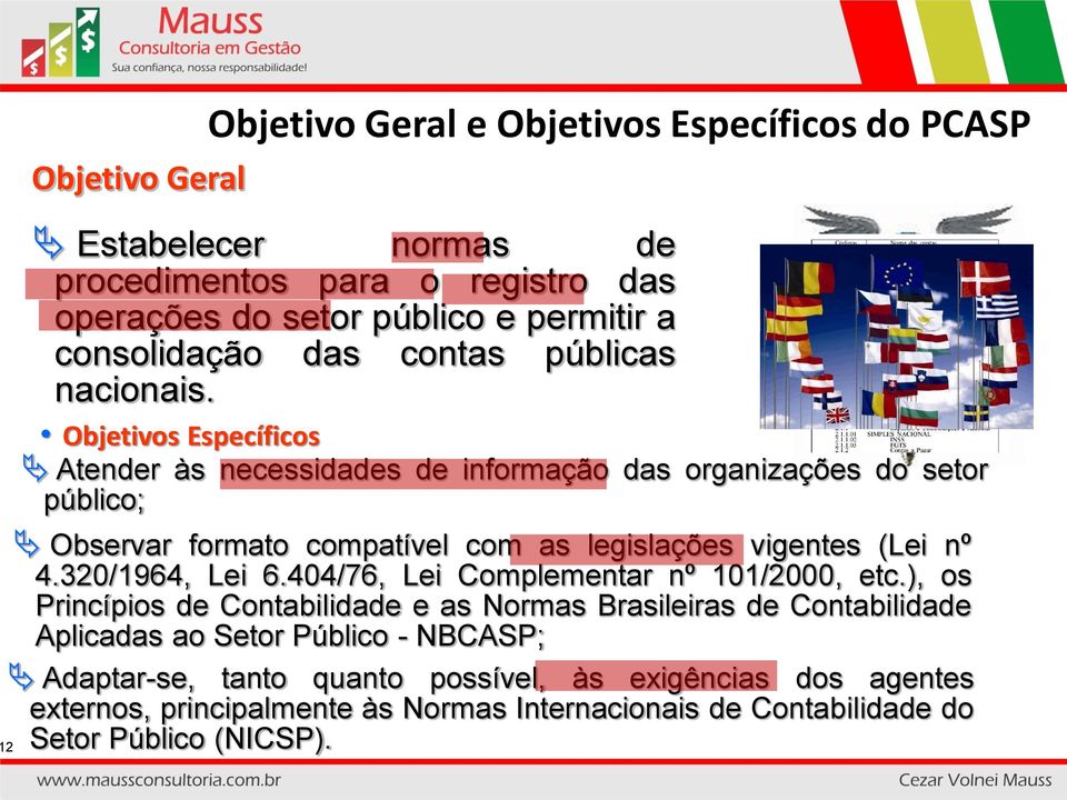 Objetivos Específicos Atender às necessidades de informação das organizações do setor público; Observar formato compatível com as legislações vigentes (Lei nº 4.