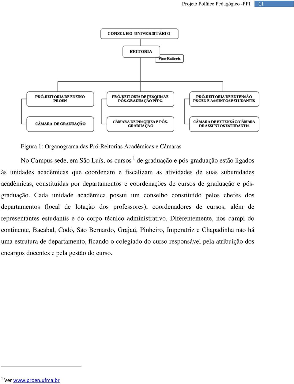 Cada unidade acadêmica possui um conselho constituído pelos chefes dos departamentos (local de lotação dos professores), coordenadores de cursos, além de representantes estudantis e do corpo técnico