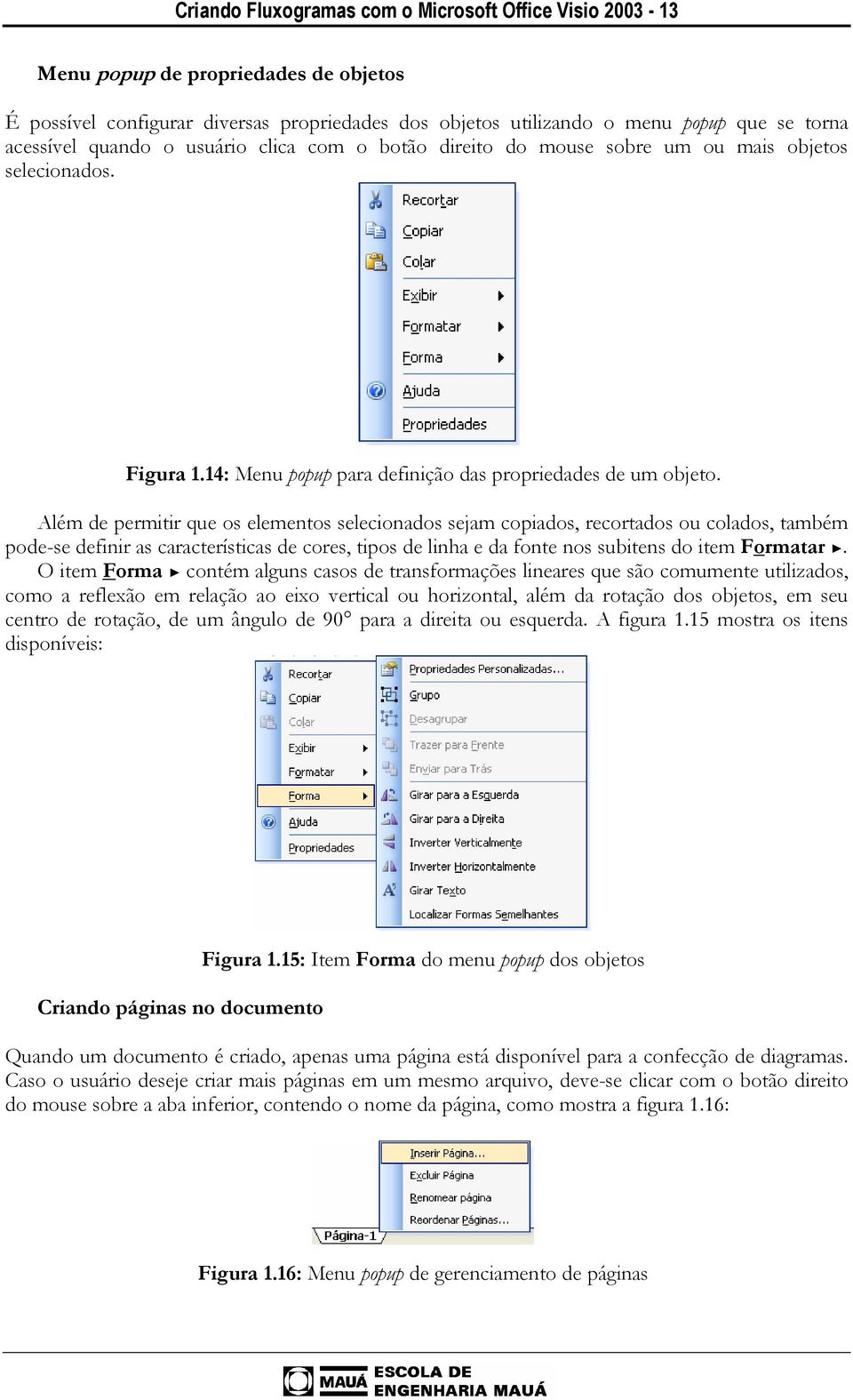 Além de permitir que os elementos selecionados sejam copiados, recortados ou colados, também pode-se definir as características de cores, tipos de linha e da fonte nos subitens do item Formatar.