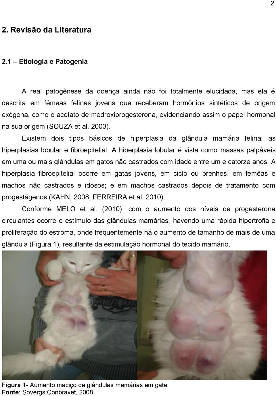 acetato de medroxiprogesterona, evidenciando assim o papel hormonal na sua origem (SOUZA et al. 2003).