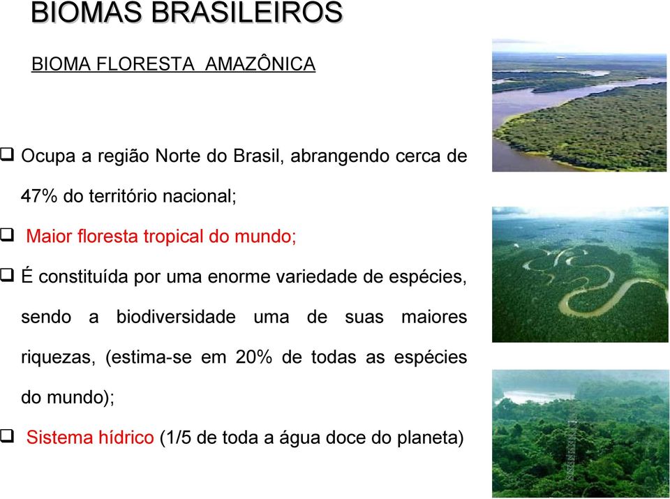 uma enorme variedade de espécies, sendo a biodiversidade uma de suas maiores riquezas,