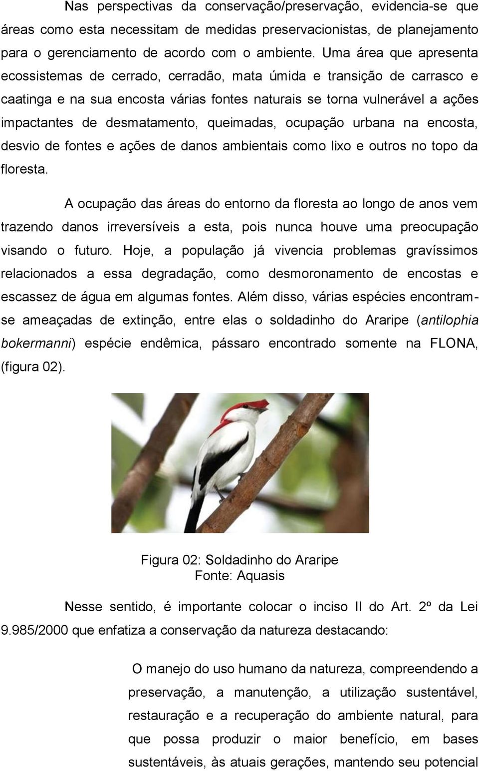 desmatamento, queimadas, ocupação urbana na encosta, desvio de fontes e ações de danos ambientais como lixo e outros no topo da floresta.