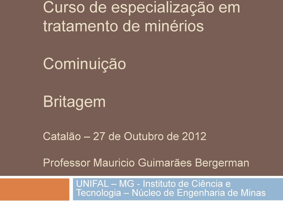 Professor Mauricio Guimarães Bergerman UNIFAL MG -